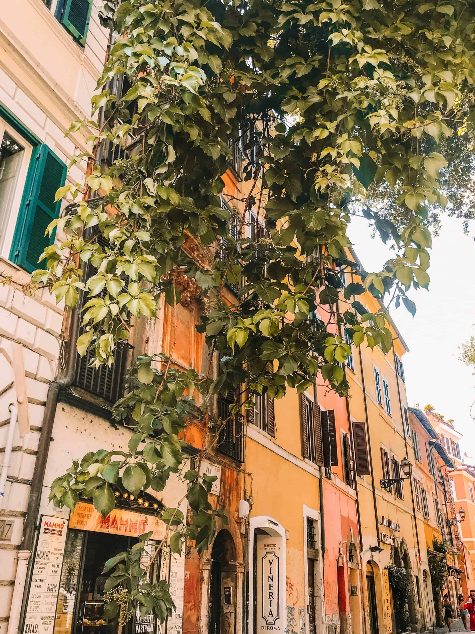 Ivy-covered buildings in Trastevere. A visit to this trendy neighborhood is a must-do in Rome in 3 days. 