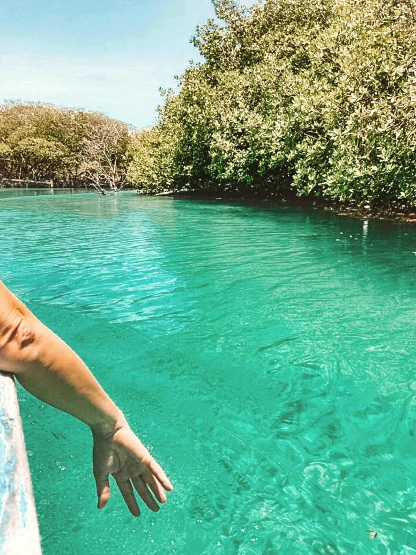 Going on an East End mangrove tour is one of the best things to do in Roatan 