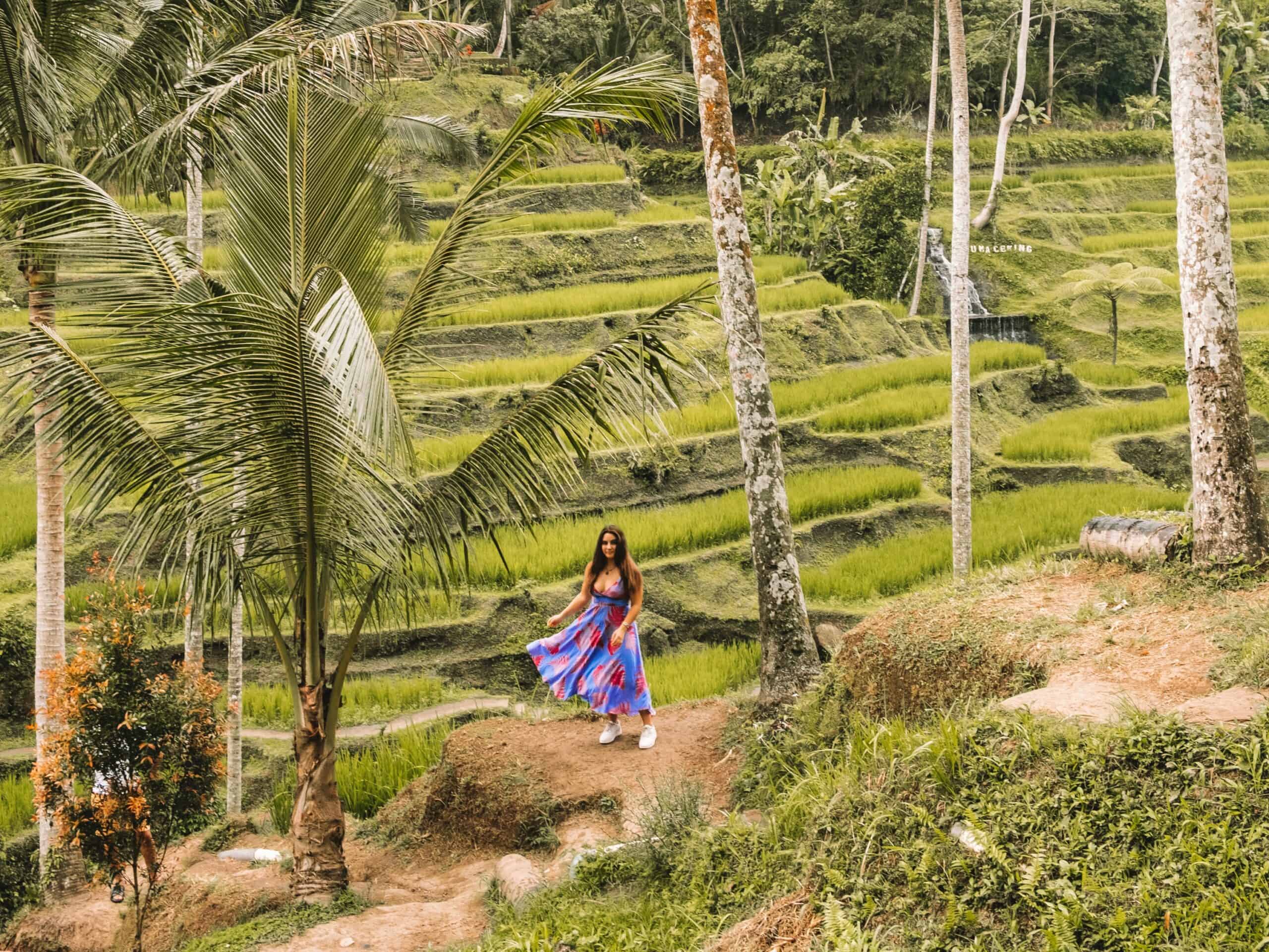 How to Spend 4 Days in Ubud
