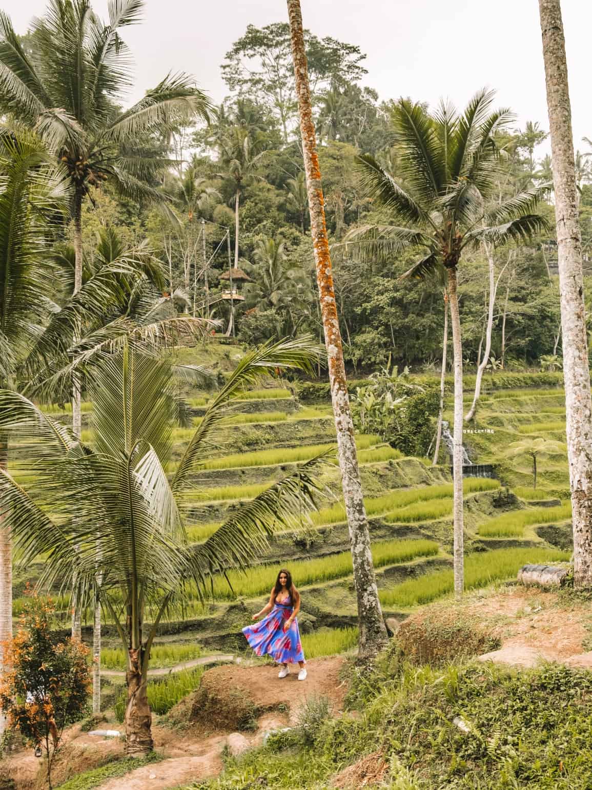 Blog post about spending 4 days in Ubud