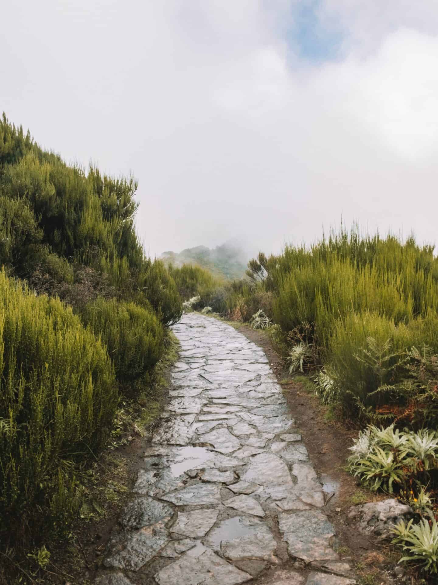 The best time to visit Madeira for hiking is during the Spring and the Fall. 